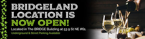 Anushka-Jadwani-Graphic-web-designer-toronto-5 Vines.jpg