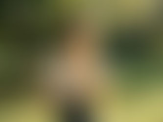 Trauma-Informed Care Essentials for Sexually Exploited Foster Youth: A Path to Safety, Healing, and Empowerment