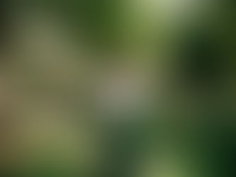 Trauma-Informed Residential Care: What Sexually Exploited Female Foster Youth Need to Heal and Thrive