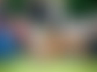 Toko steals the show at Border Union champ show