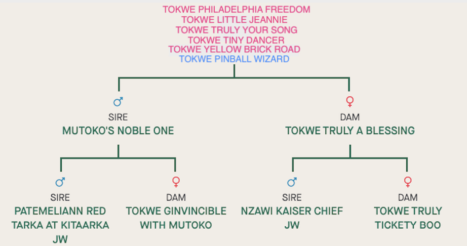 Screenshot 2023-07-29 at 14.33.53.png