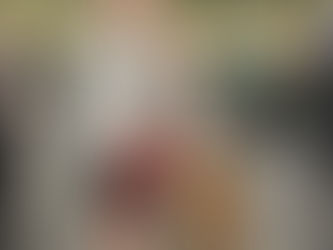 toko takes first place at crufts 2025