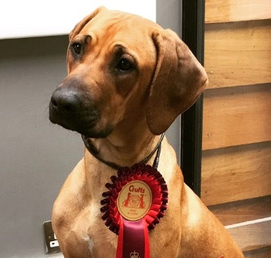 Tili - Tokwe Truly Gintastic.jpg