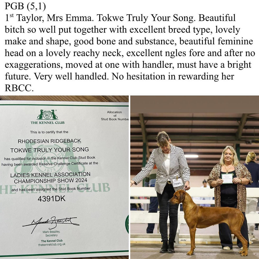 TOKO BAGS HER FIRST RBCC