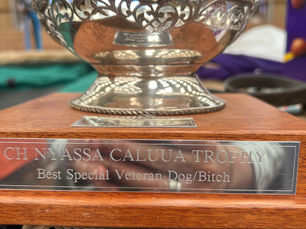 TAKALA'S STILL GOT IT