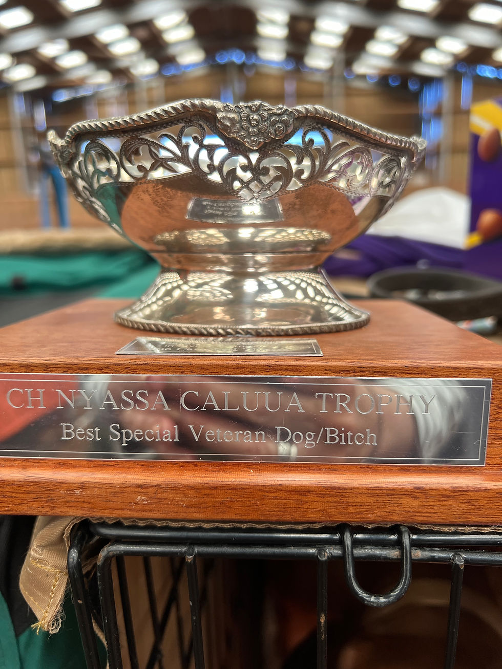 TAKALA'S STILL GOT IT