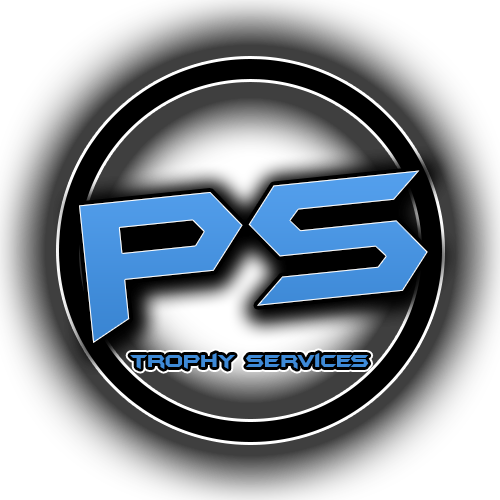 Playstation PS3 PS4 PSN PS Vita Platinum Trophy Service 100 PLATINUM