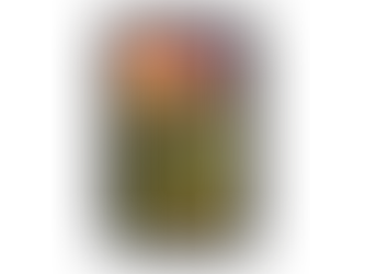 Something Fatal Cover Art Reveal