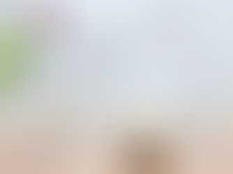 5 Tips To Get Rid Of Pests From Your House