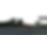 3101 john harden.png