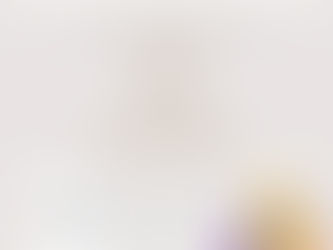 Safer Swap One Stop Shops