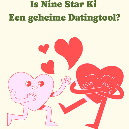 Is NINE STAR KI een geheime datingtool?