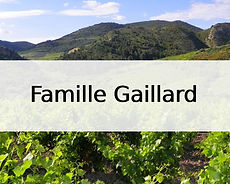 Famille Gaillard.jpg
