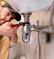 istockphoto-1516511531-612x612.jpg