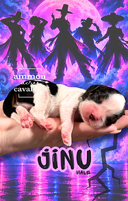 1.png