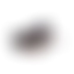 Sabrina Sato Eyewear SS 549