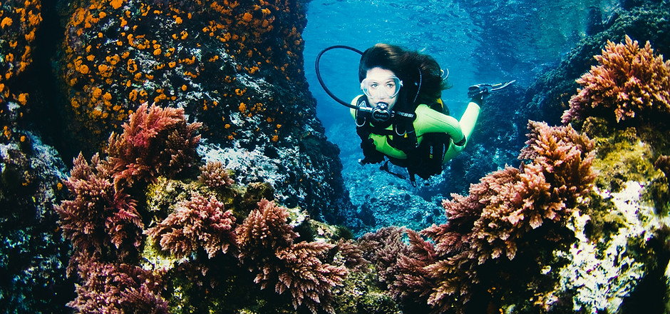 Coral Reef