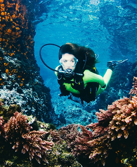 Coral Reef