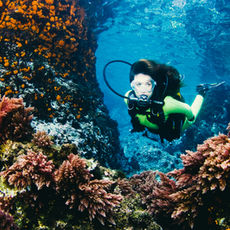 Ocean Conservation -- ZERI China Projects