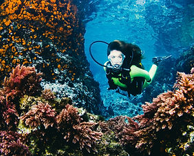 Coral Reef
