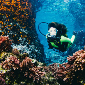 International Maritime Underwater Color Painting Workshop