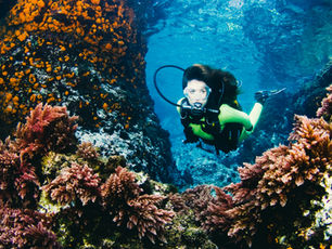 Why Your Sunscreen Matters — For Skin and the Sea