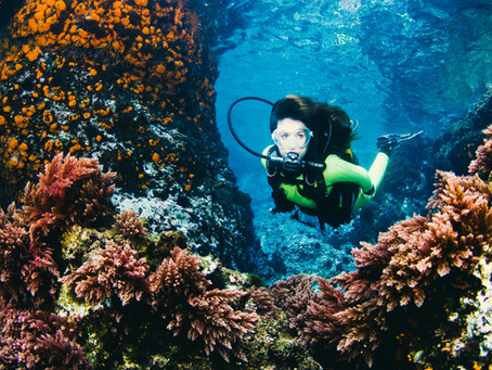 Dummy's dive gear shopping guide