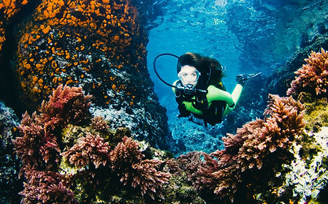 Million SQM of Corals