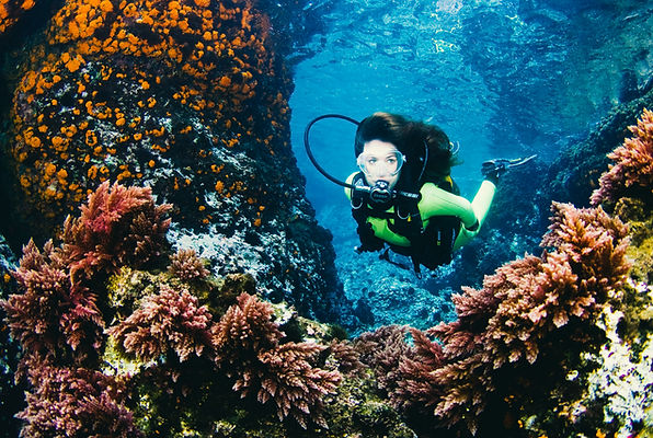 Nitrox diver course in the red sea