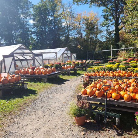 New hours starting October 16