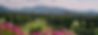 xp1190130113157.jpg