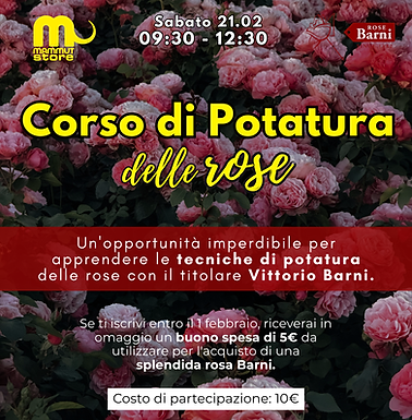 Infografiche MAMMUT STORE (Post di Instagram) (1080 x 1350 px) (9).png