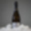 DSC04305.jpg