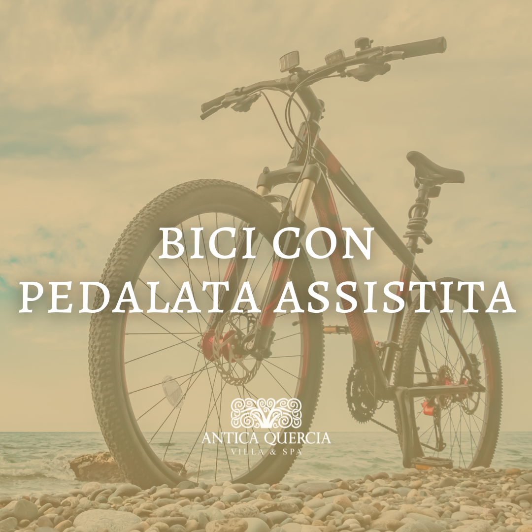 Noleggio bicicletta assistita 1gg