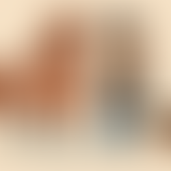 Solo Select Stallion Station – Open House Update