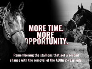 AQHA 2-Year-Rule Removal