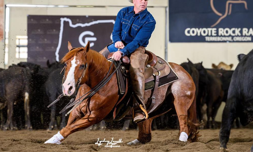 Turn-Key Stallion With $277,551 LTE and Half-Million Progeny Earnings: High Brow Jackson to Sell in Solo Select’s New Year’s Eve Sale