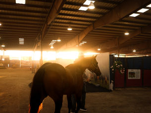 Solo Select Now Accepting Applications for Ruidoso Select Yearling Sale — Upholding a Standard of Excellence.