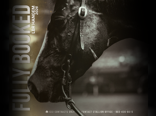 $352,722 LTE Stallion LBR Hangem Announces Booked Full for 2026 Breeding Season