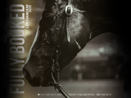 $352,722 LTE Stallion LBR Hangem Announces Booked Full for 2026 Breeding Season