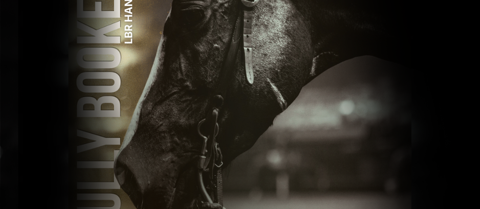 $352,722 LTE Stallion LBR Hangem Announces Booked Full for 2026 Breeding Season