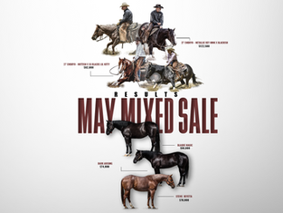 Solo Select May Mixed Sale Grosses $1.27 MILLION as Embryo Market Booms