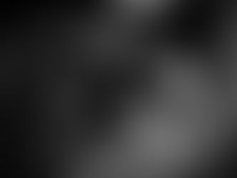 Win at the Super Stakes Puts LBR Hangem in the NCHA Hall of Fame—Another Gut Feeling Proven Right and a Vision Fulfilled