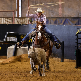 Metallic Cattack Crowned Top Sire at the Gold Buckle Futurities Spring Event