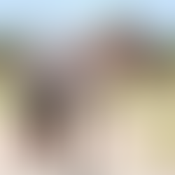 NRCHA Open Snaffle Bit Futurity Finalist & Proven Producer One Sparking Time to Sell in Solo Select Thanksgiving Sale