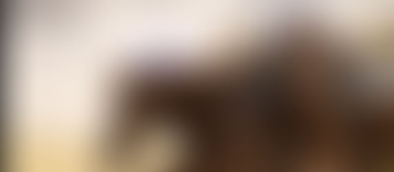 LBR Hangem Sets Standard High Among World's Best with Stellar 226