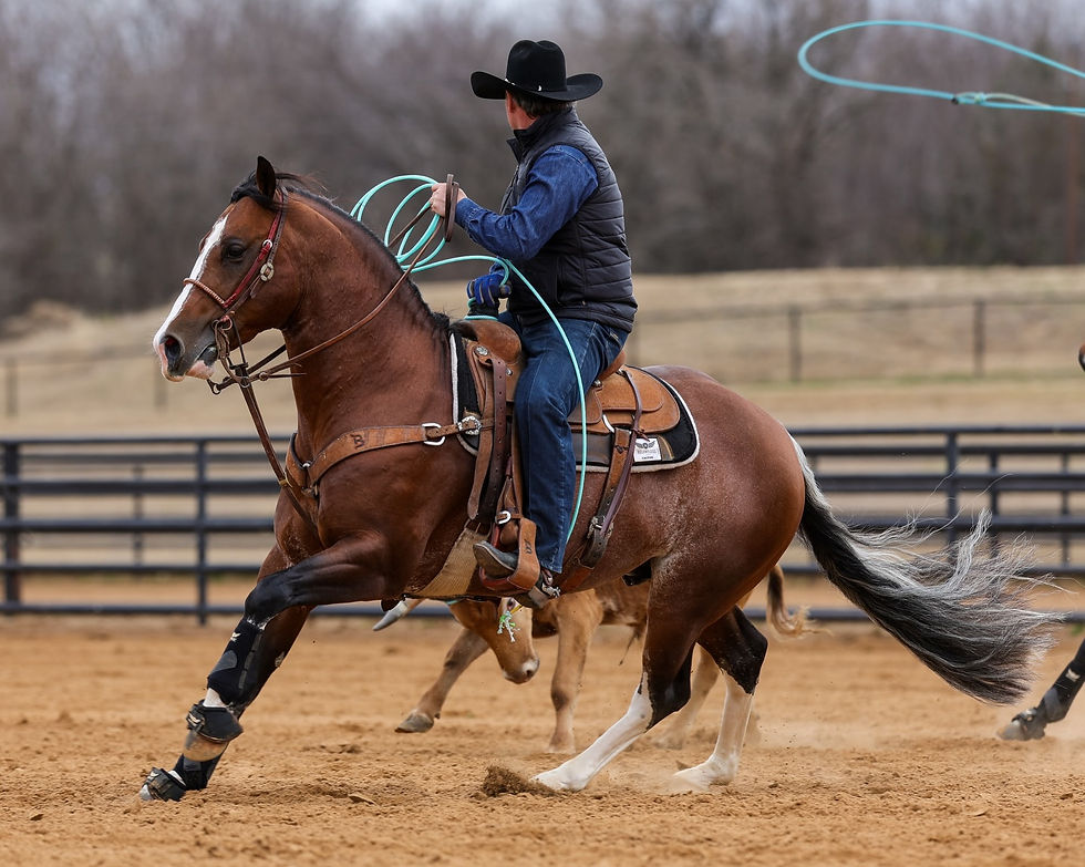 Kryptoniite and Trevor Brazile