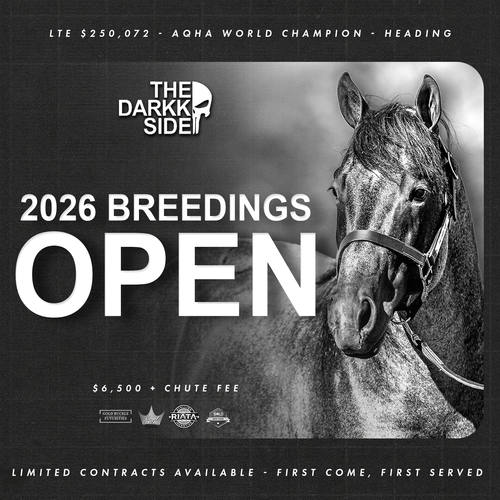 2026 Darkk Side Breeding | Solo Select Horses