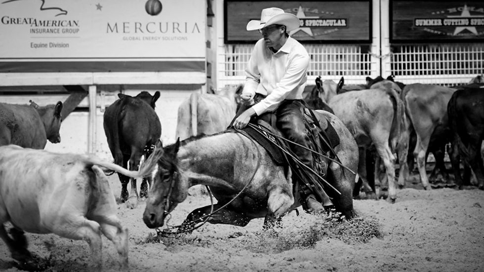 Blu is Nothing short of extraordinary | QH News