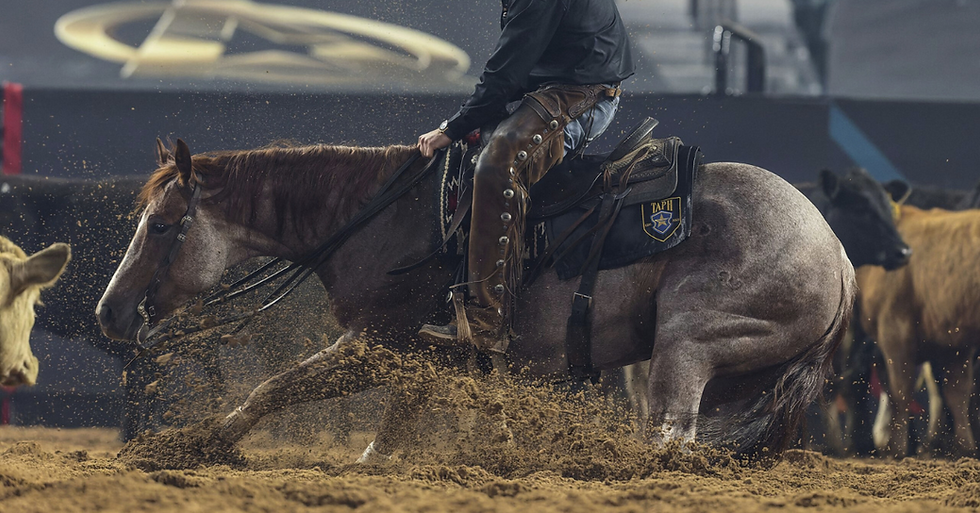 Her pedigree was built for this kind of greatness—by Once In A Blu Boon (LTE $319,002; $14.5M+ sire; NRCHA Million Dollar Sire) and out of Show Biz Kitty (High Brow Cat x $1.6M+ producer). The cross has already proven itself: her full brother Badboonarising was the 2018 NCHA Futurity Open Reserve Champion.